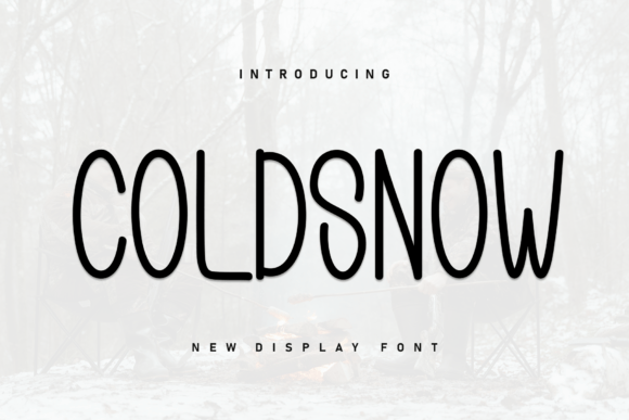 Coldsnow: A Practical Evaluation of the Handwritten Display Font